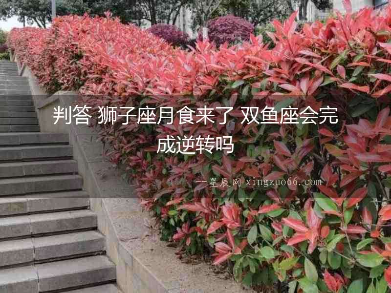判答 獅子座月食來了 雙魚座會完成逆轉嗎