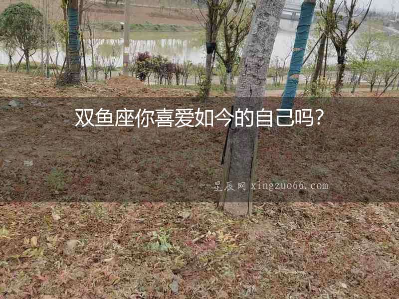 雙魚座你喜愛如今的自己嗎？
