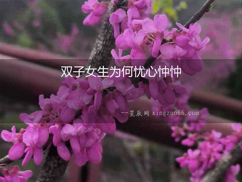 雙子女生為何憂心忡忡