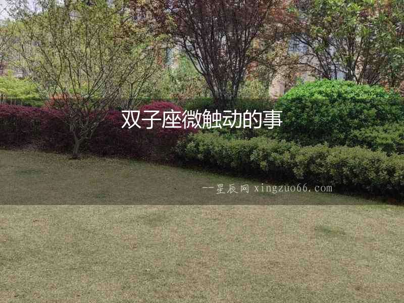 雙子座微觸動的事