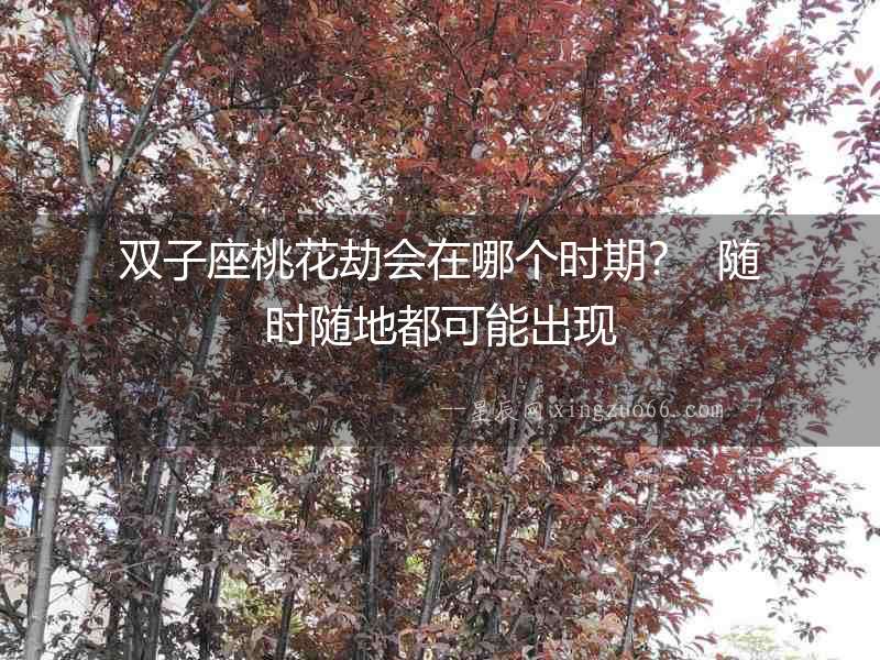 雙子座桃花劫會(huì)在哪個(gè)時(shí)期？  隨時(shí)隨地都可能出現(xiàn)