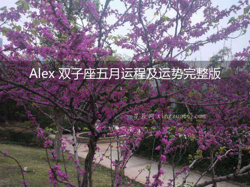 Alex 雙子座五月運(yùn)程及運(yùn)勢完整版