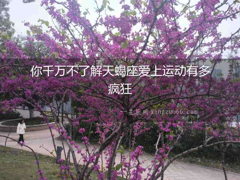 你千萬不了解天蝎座愛上運動有多瘋狂