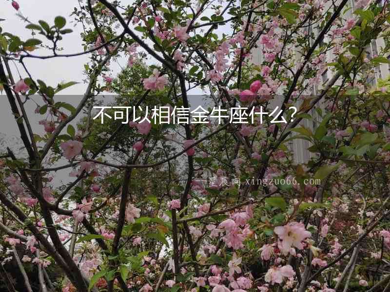 不可以相信金牛座什么？