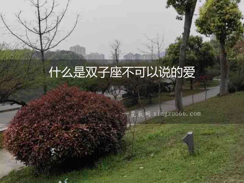 什么是雙子座不可以說的愛