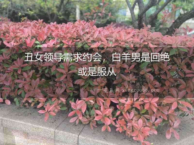 丑女領導需求約會，白羊男是回絕或是服從