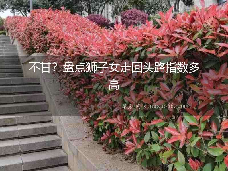 不甘？盤點(diǎn)獅子女走回頭路指數(shù)多高