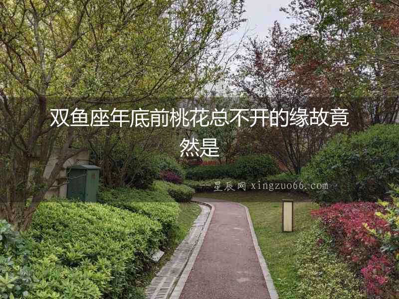 雙魚座年底前桃花總不開的緣故竟然是