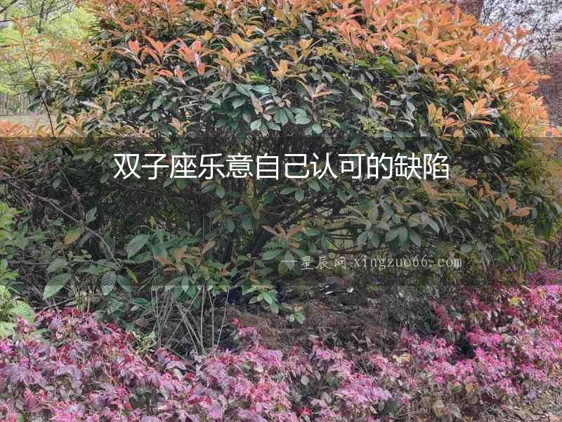 雙子座樂意自己認可的缺陷
