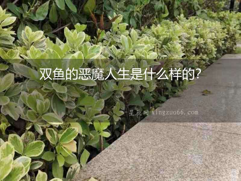 雙魚的惡魔人生是什么樣的？