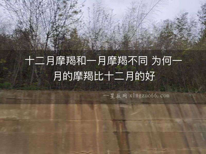 十二月摩羯和一月摩羯不同 為何一月的摩羯比十二月的好