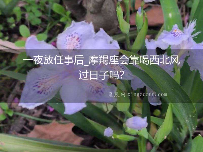一夜放任事后_摩羯座會(huì)靠喝西北風(fēng)過(guò)日子嗎？
