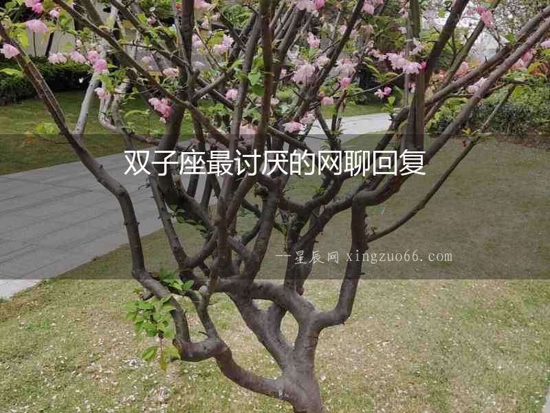 雙子座最討厭的網(wǎng)聊回復