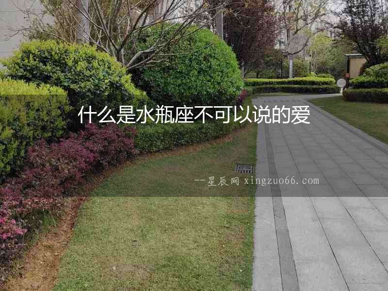 什么是水瓶座不可以說的愛