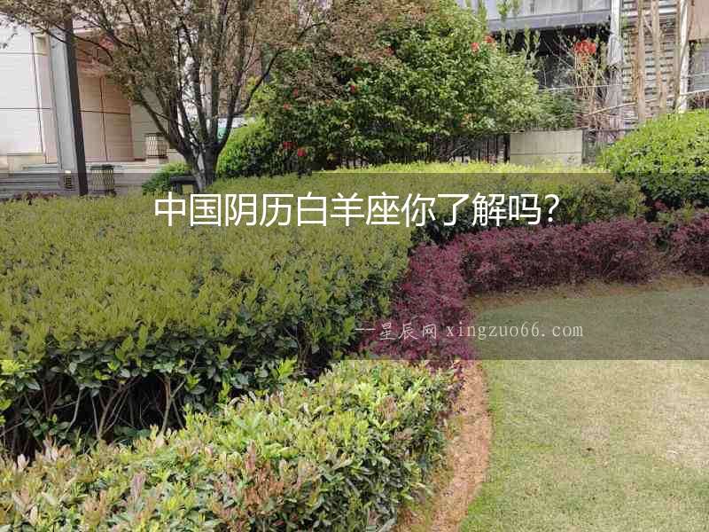 中國陰歷白羊座你了解嗎？