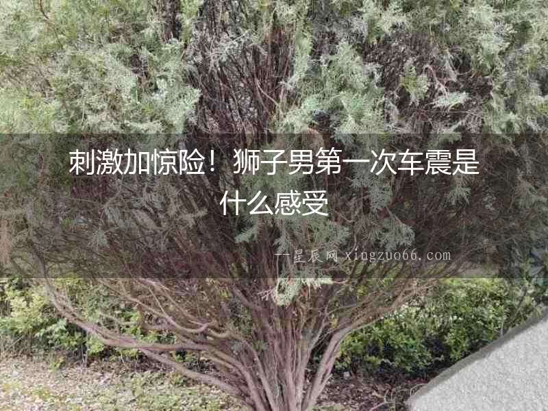刺激加驚險！獅子男第一次車震是什么感受