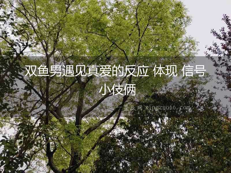雙魚男遇見真愛的反應(yīng) 體現(xiàn) 信號 小伎倆