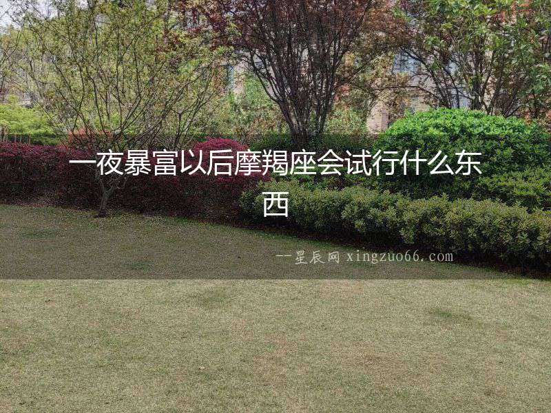 一夜暴富以后摩羯座會試行什么東西