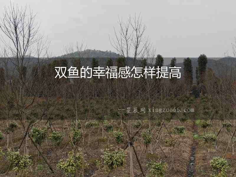 雙魚的幸福感怎樣提高