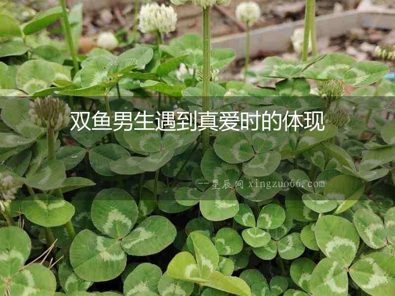 雙魚男生遇到真愛時的體現