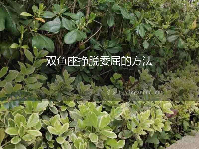 雙魚座掙脫委屈的方法