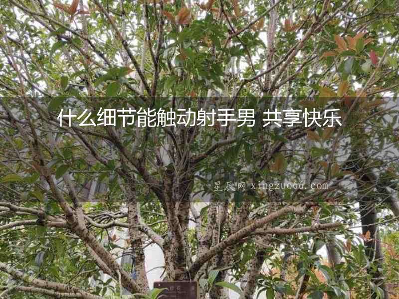 什么細節能觸動射手男 共享快樂