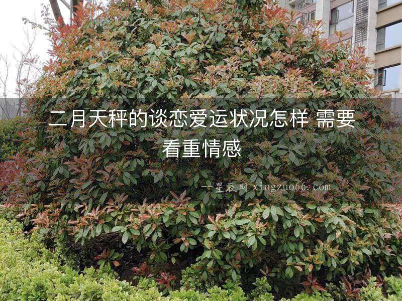 二月天秤的談戀愛運狀況怎樣 需要看重情感