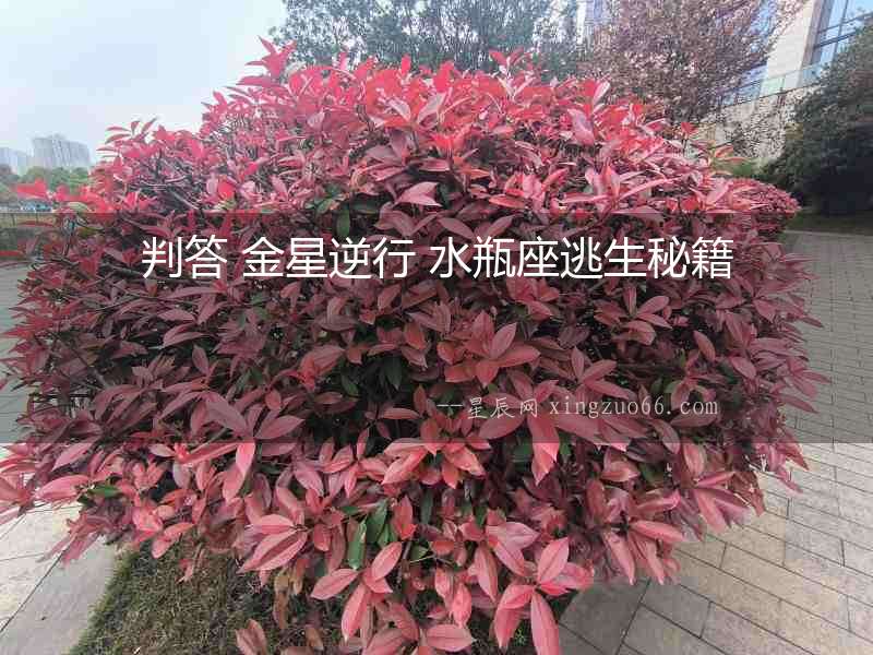 判答 金星逆行 水瓶座逃生秘籍