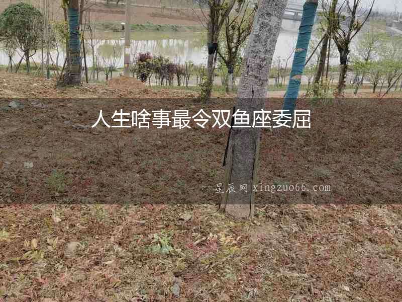 人生啥事最令雙魚座委屈