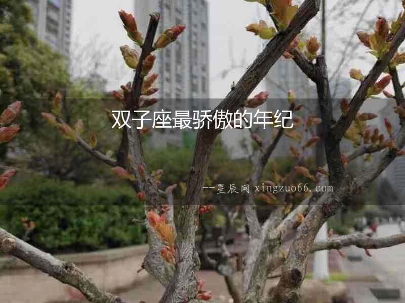 雙子座最驕傲的年紀