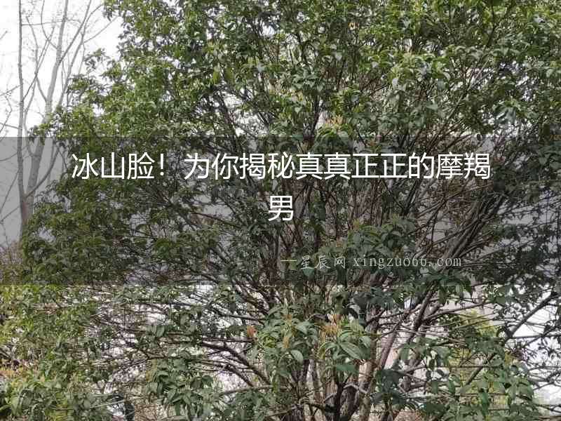 冰山臉！為你揭秘真真正正的摩羯男
