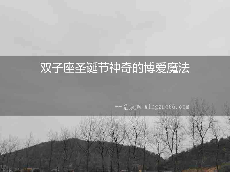 雙子座圣誕節神奇的博愛魔法