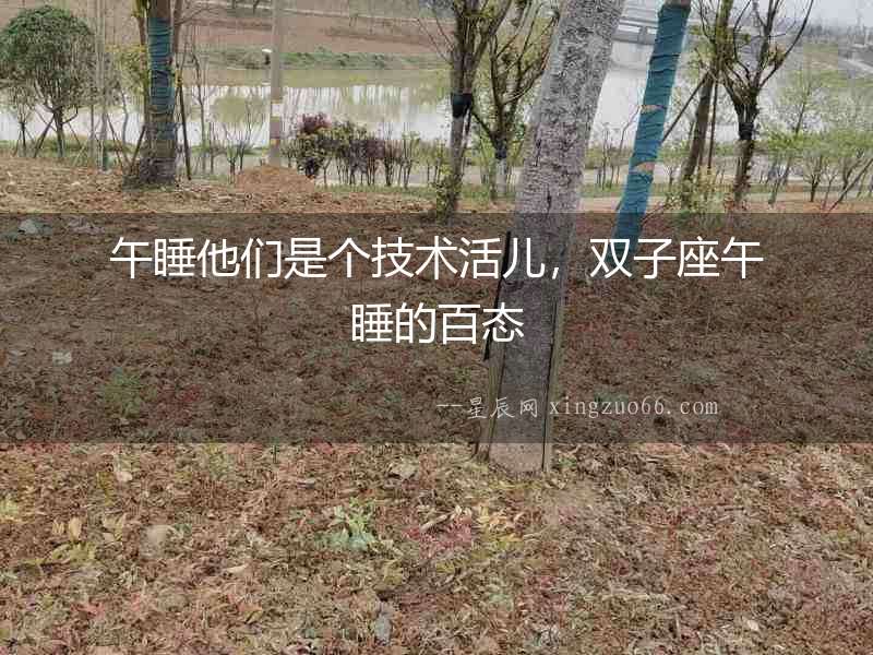 午睡他們是個技術(shù)活兒，雙子座午睡的百態(tài)