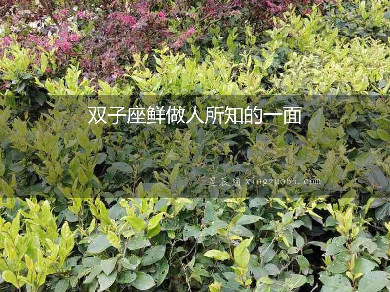 雙子座鮮做人所知的一面
