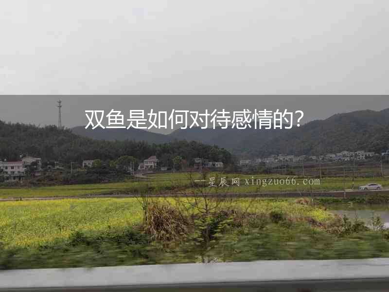 雙魚是如何對待感情的？