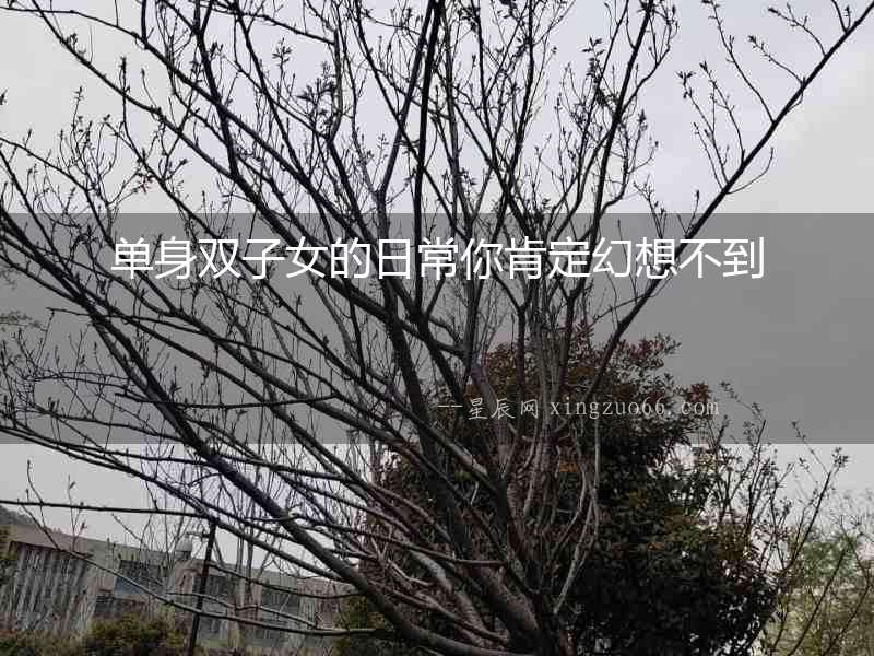 單身雙子女的日常你肯定幻想不到