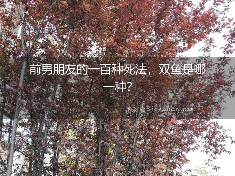 前男朋友的一百種死法，雙魚是哪一種？