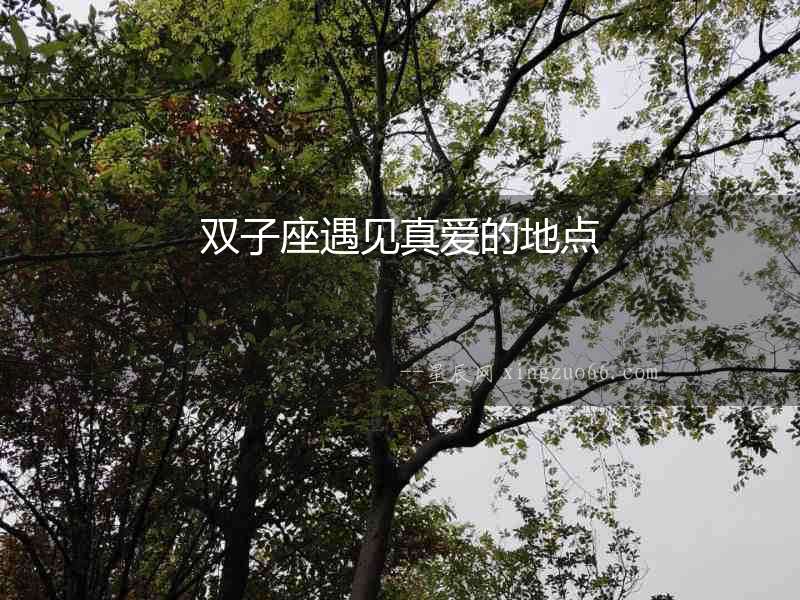 雙子座遇見真愛(ài)的地點(diǎn)