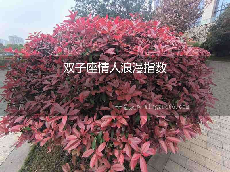雙子座情人浪漫指數