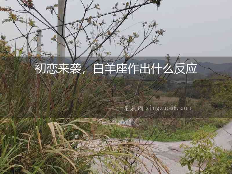 初戀來襲，白羊座作出什么反應