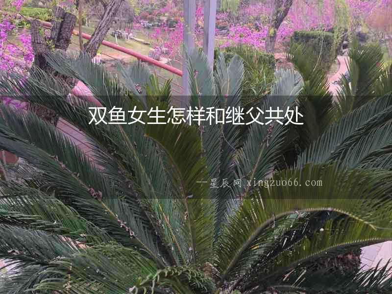 雙魚女生怎樣和繼父共處