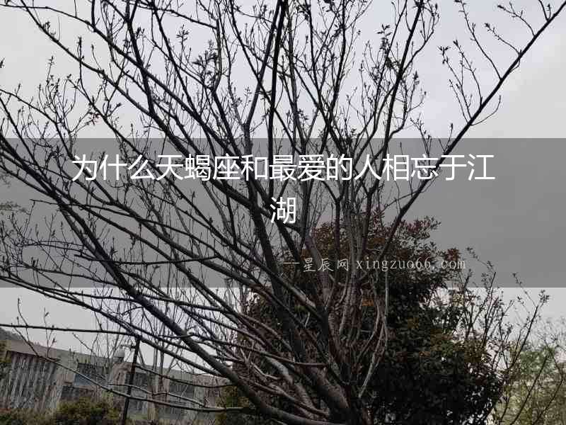 為什么天蝎座和最愛的人相忘于江湖