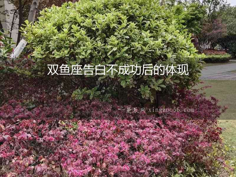 雙魚座告白不成功后的體現