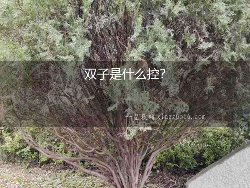 雙子是什么控？