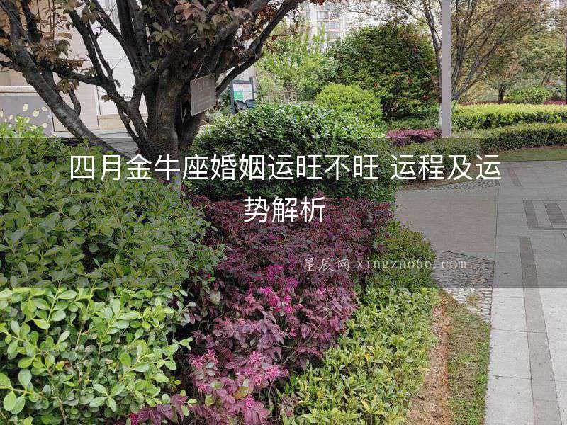 四月金牛座婚姻運旺不旺 運程及運勢解析