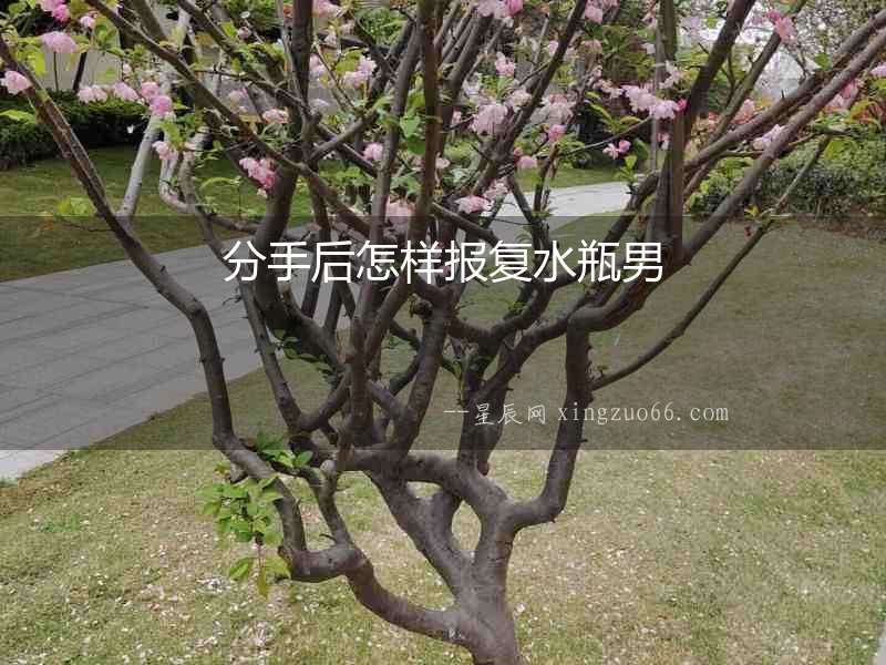 分手后怎樣報復水瓶男