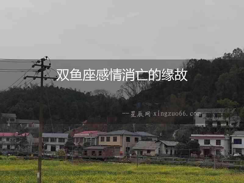 雙魚座感情消亡的緣故