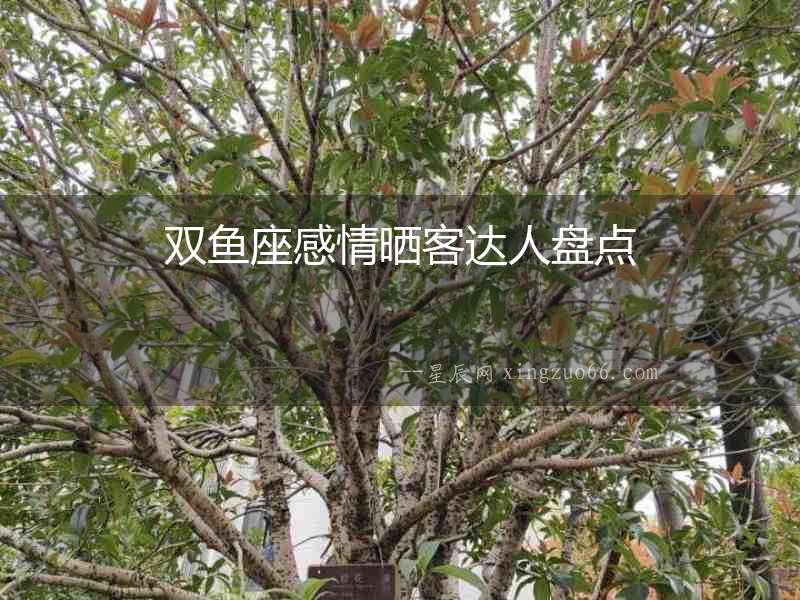 雙魚座感情曬客達(dá)人盤點(diǎn)
