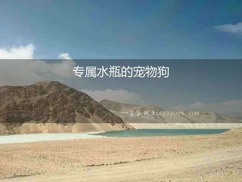 專屬水瓶的寵物狗