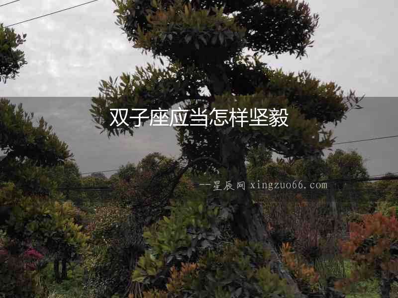 雙子座應(yīng)當(dāng)怎樣堅毅